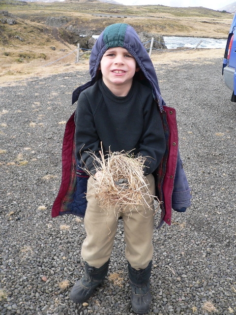 Ian makes a puffin nest