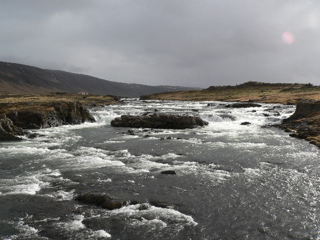 Laxá (Salmon River) 