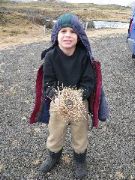 Ian makes a puffin nest