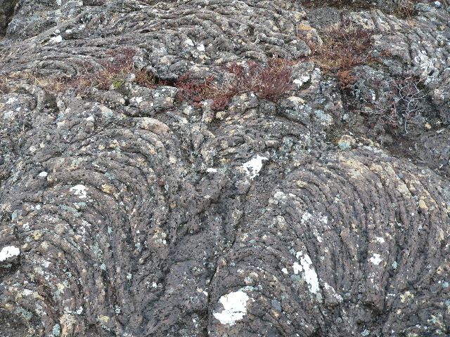 Contorted Rocks and Shrubs
