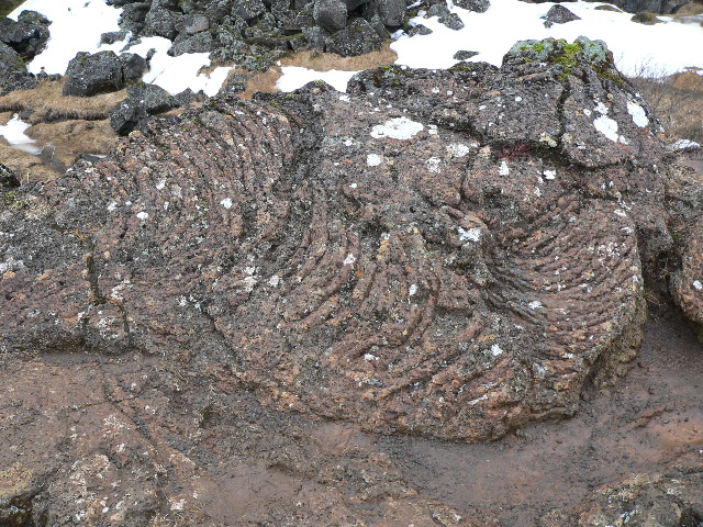 Contorted Rocks And Moss