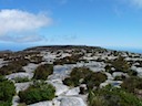 Table Mountain Top